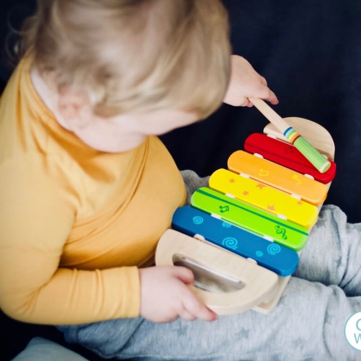9 month old baby play toys