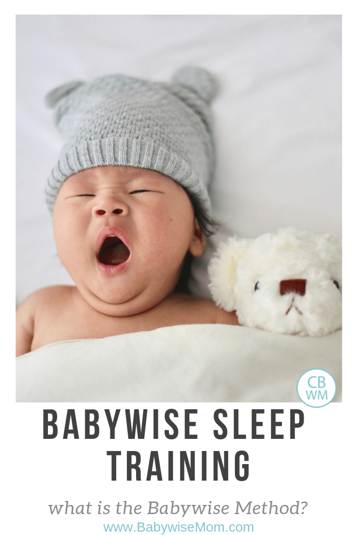 Addestramento al sonno Babywise. Il metodo del sonno Babywise e come addestrare al sonno secondo On Becoming Babywise.