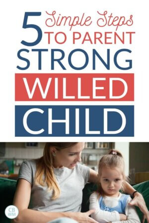 How To Successfully Parent Your Strong-Willed Child - Babywise Mom