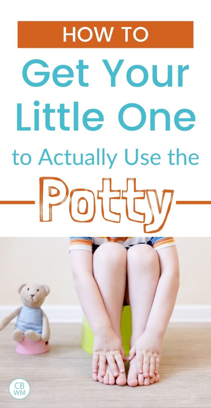 How To Get Your Little One To Pee or Poop on the Potty - Babywise Mom
