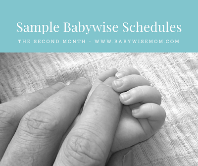Babywise Sample Schedules: Over 100 Schedules for Baby's First Year