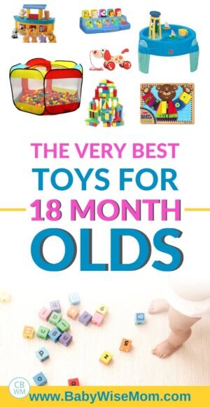 The Best Toys for 18 Month Olds Today - Babywise Mom