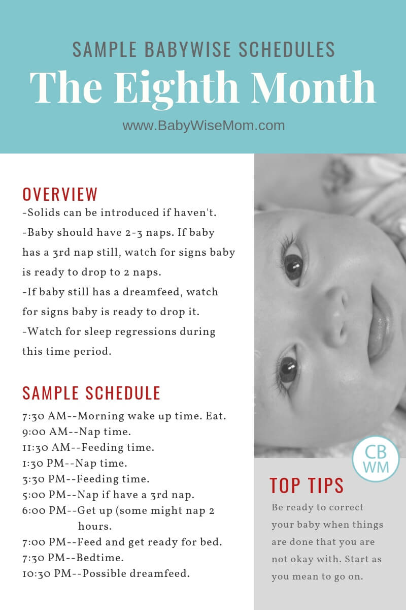 daily schedule for a 7 month old