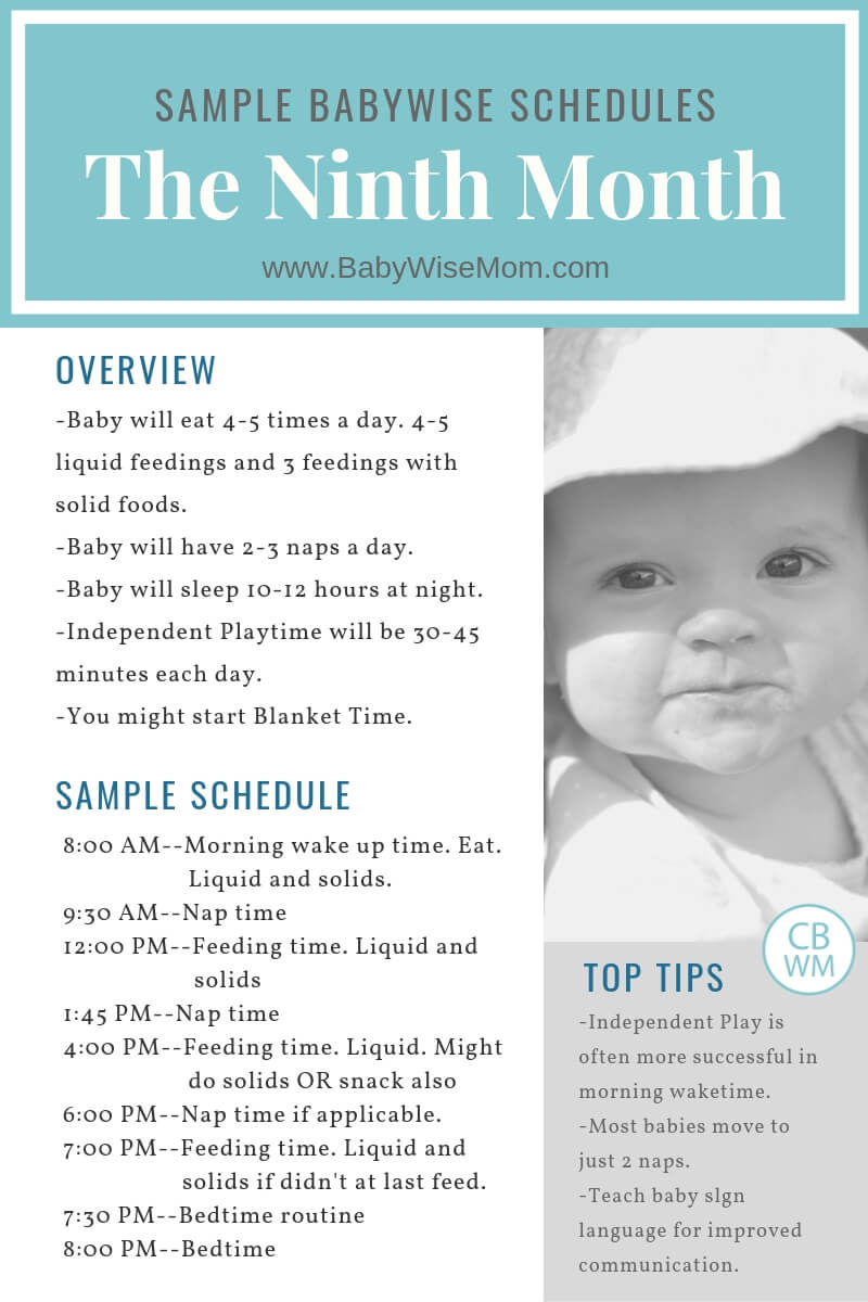 8 month old daily schedule