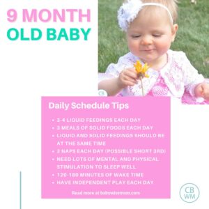 Babywise Sample Schedules: 9 Months Old - Babywise Mom