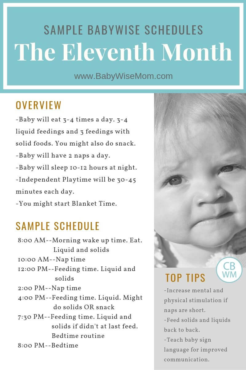 Babywise Sample Schedules: Ten Months Old - Babywise Mom