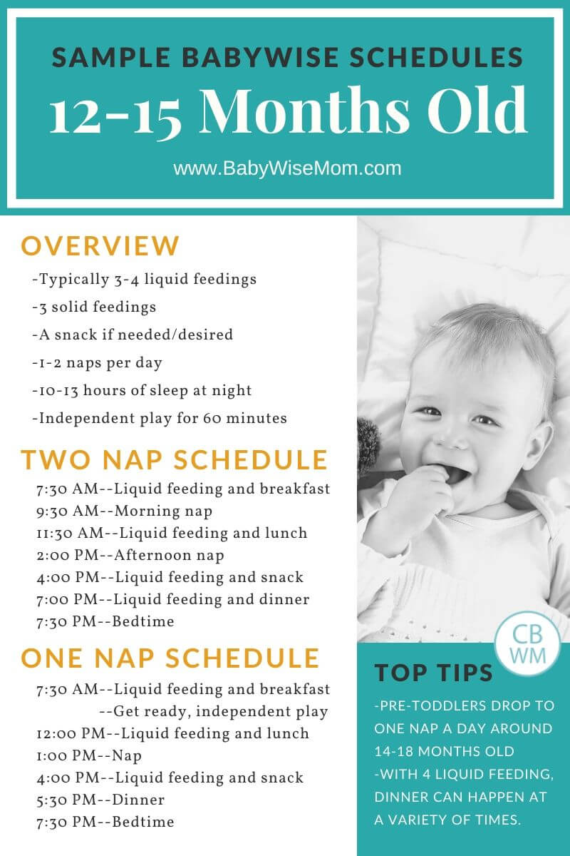 Babywise Sample Schedules: 12-15 Months Old - Babywise Mom