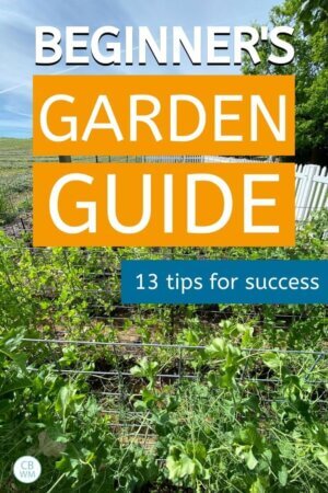 Your Ultimate Guide to a Successful Garden - Babywise Mom