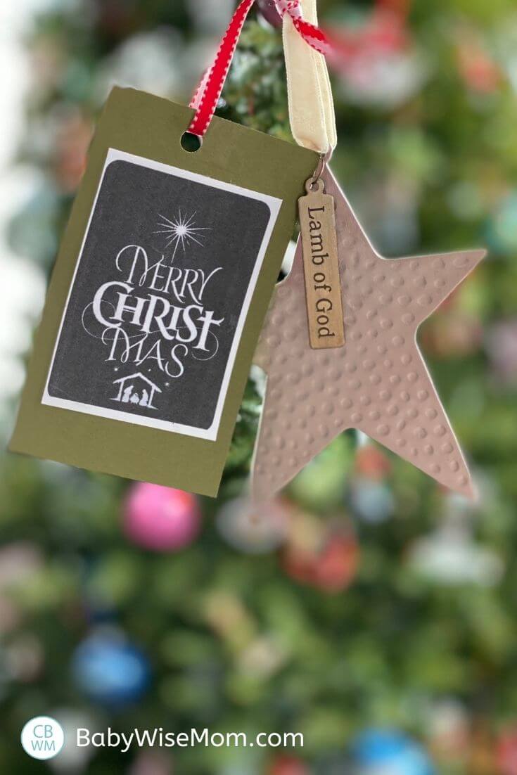The Best Affordable Neighbor Gift Ideas - Babywise Mom