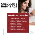 How To Calculate Baby's Age - Babywise Mom