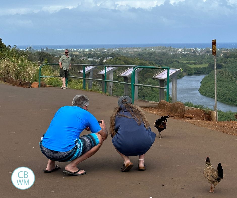 Nate and Kaitlyn taking photos of chickens